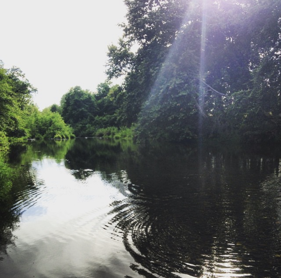 Nice, peace river that I discovered during a summer in my college town