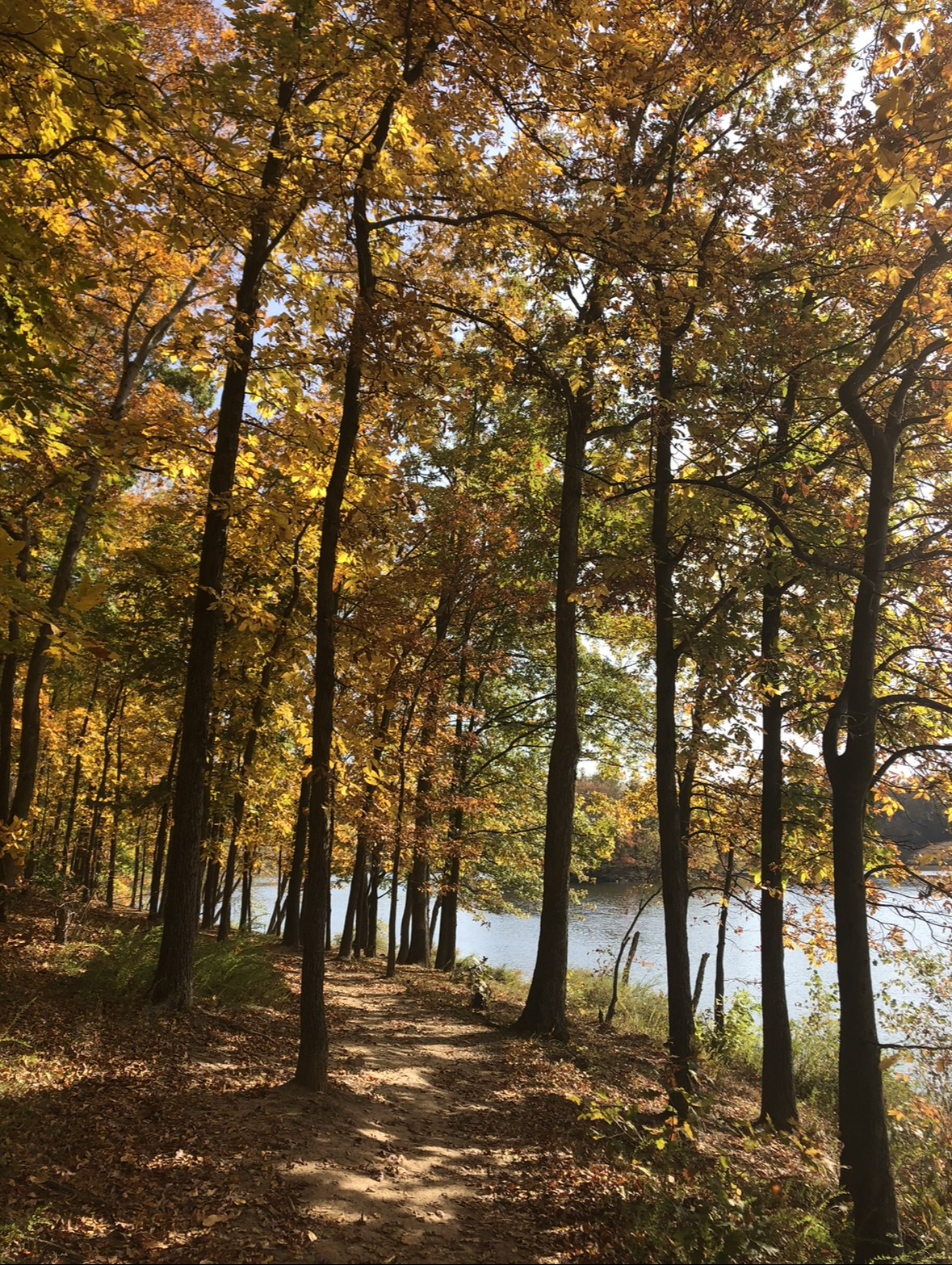 nothing beats taking a nice stroll in the fall